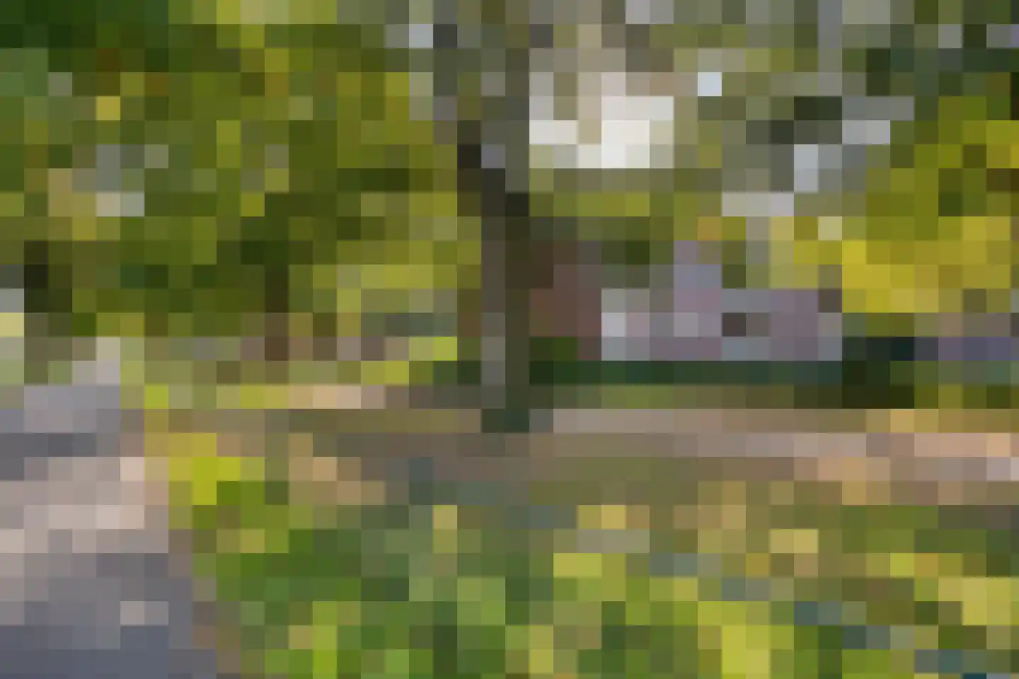 Noord 11 Apeldoorn thumbnail 20