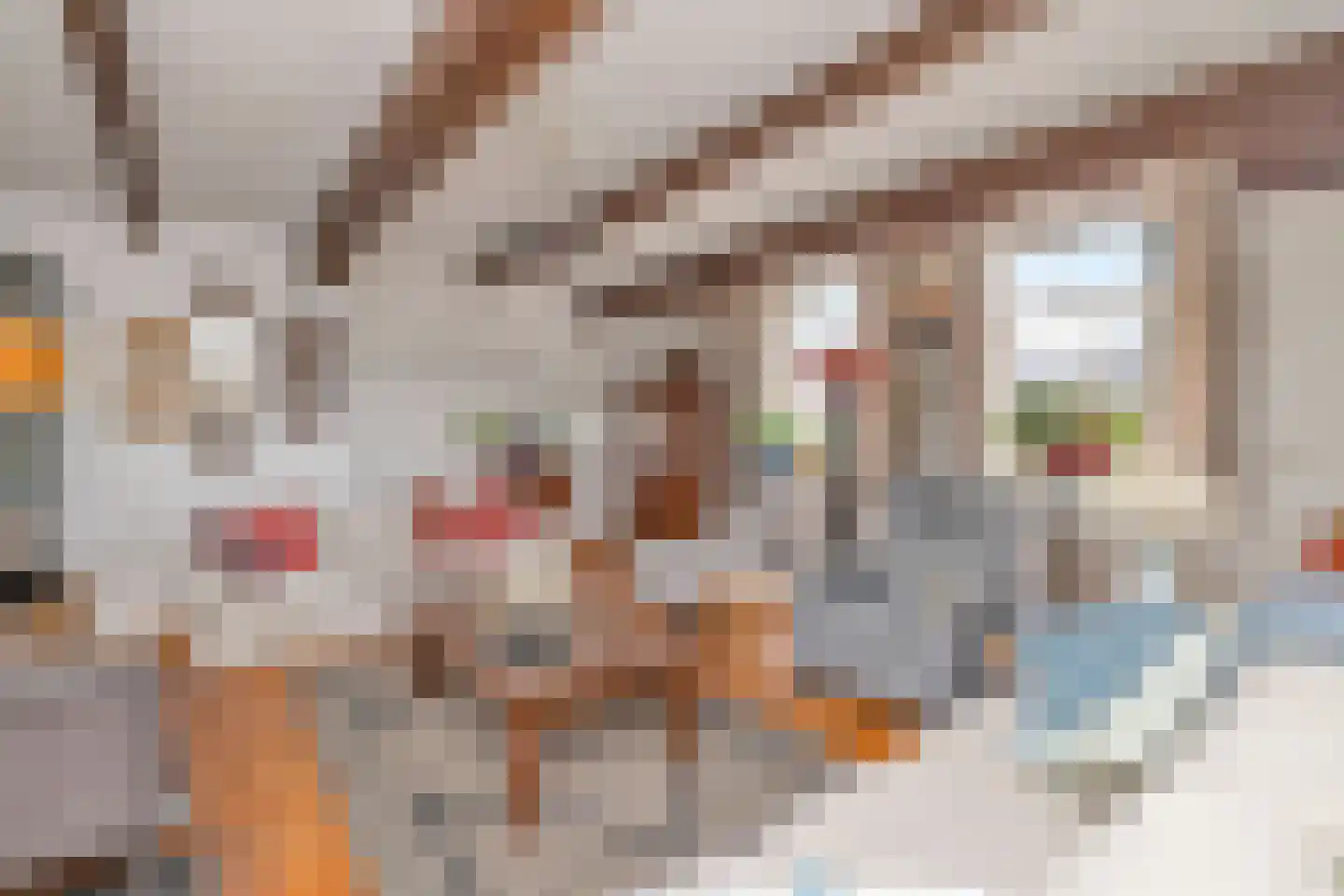 Noord 118 Schagen thumbnail 13