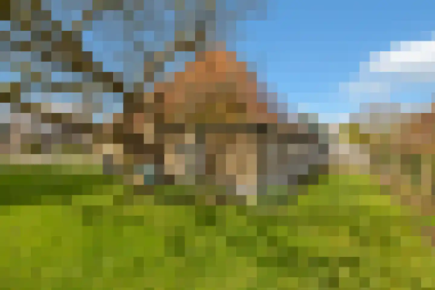 Noord 118 Schagen thumbnail 39