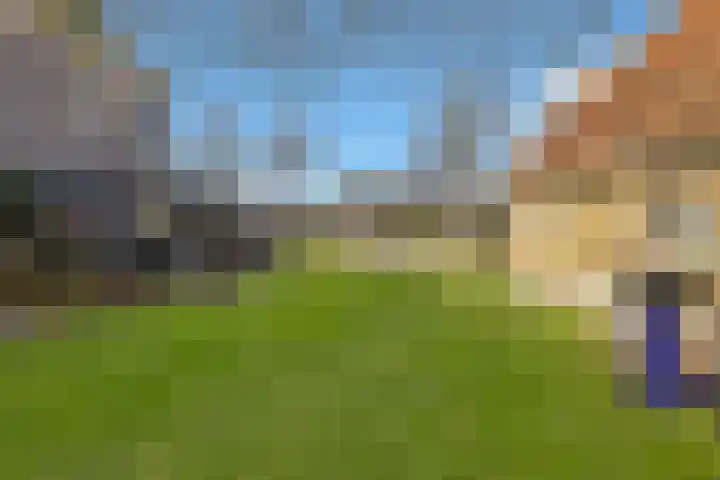 Noord 118 Schagen thumbnail 41