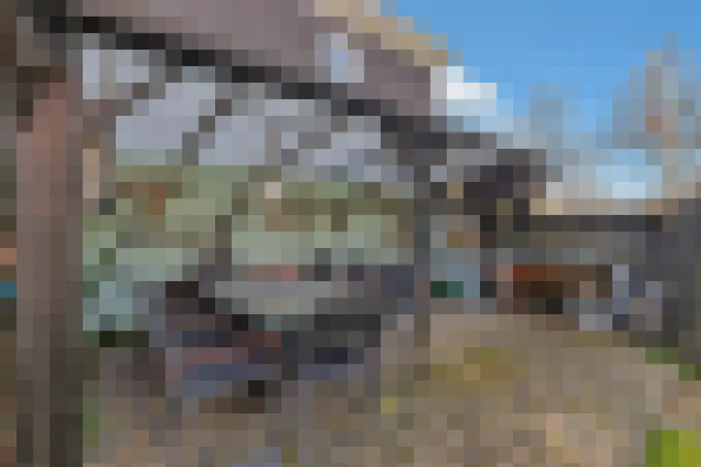 Noord 118 Schagen thumbnail 42
