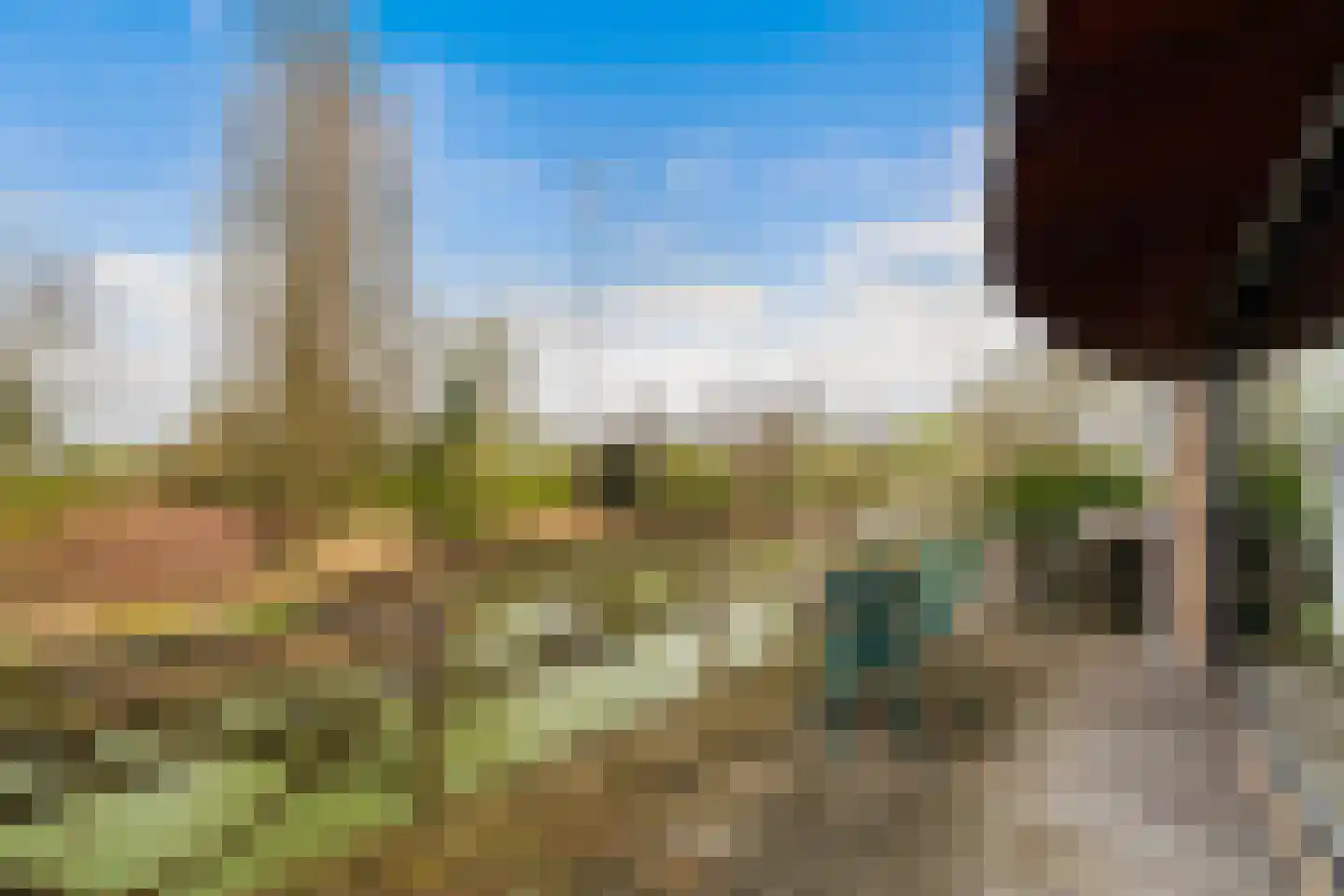 Noord 15 a Krimpen aan de Lek thumbnail 15