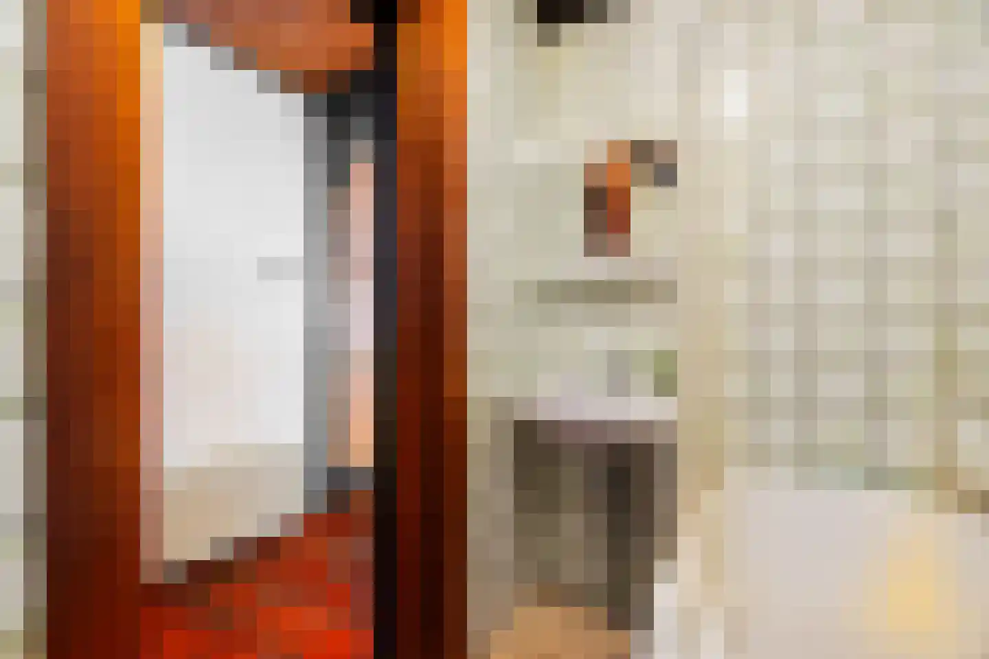 Noord 15 a Krimpen aan de Lek thumbnail 19