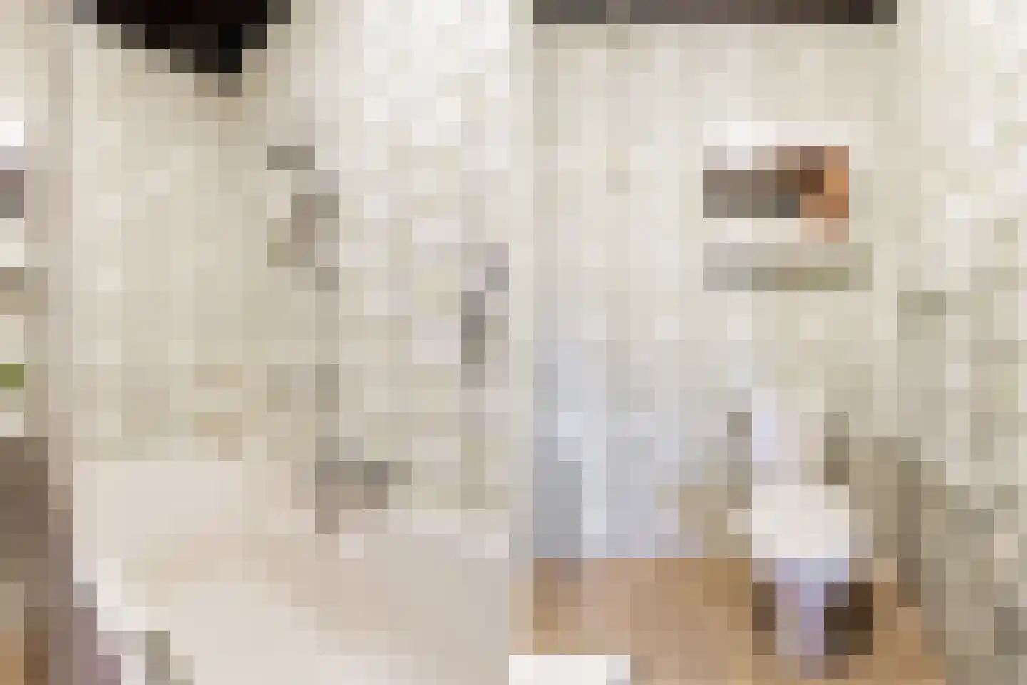 Noord 15 a Krimpen aan de Lek thumbnail 21