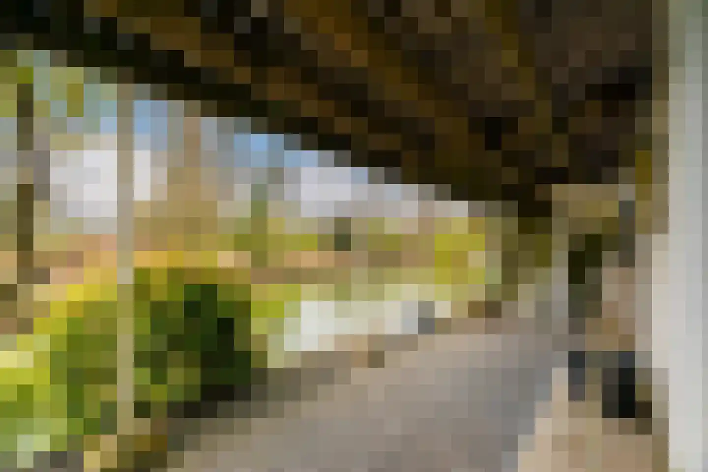 Noord 15 a Krimpen aan de Lek thumbnail 38