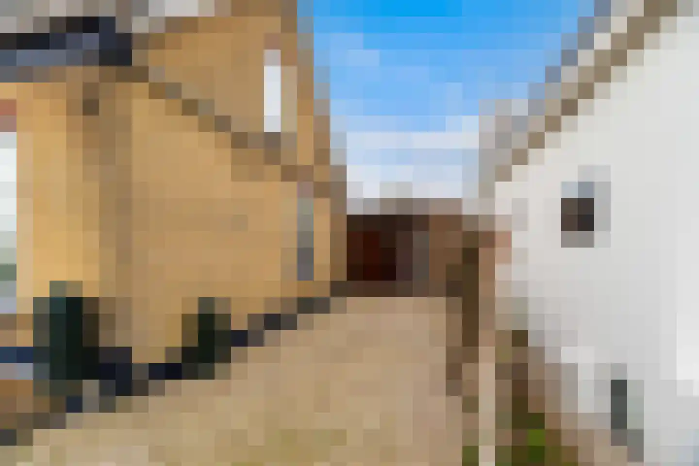 Noord 15 a Krimpen aan de Lek thumbnail 43