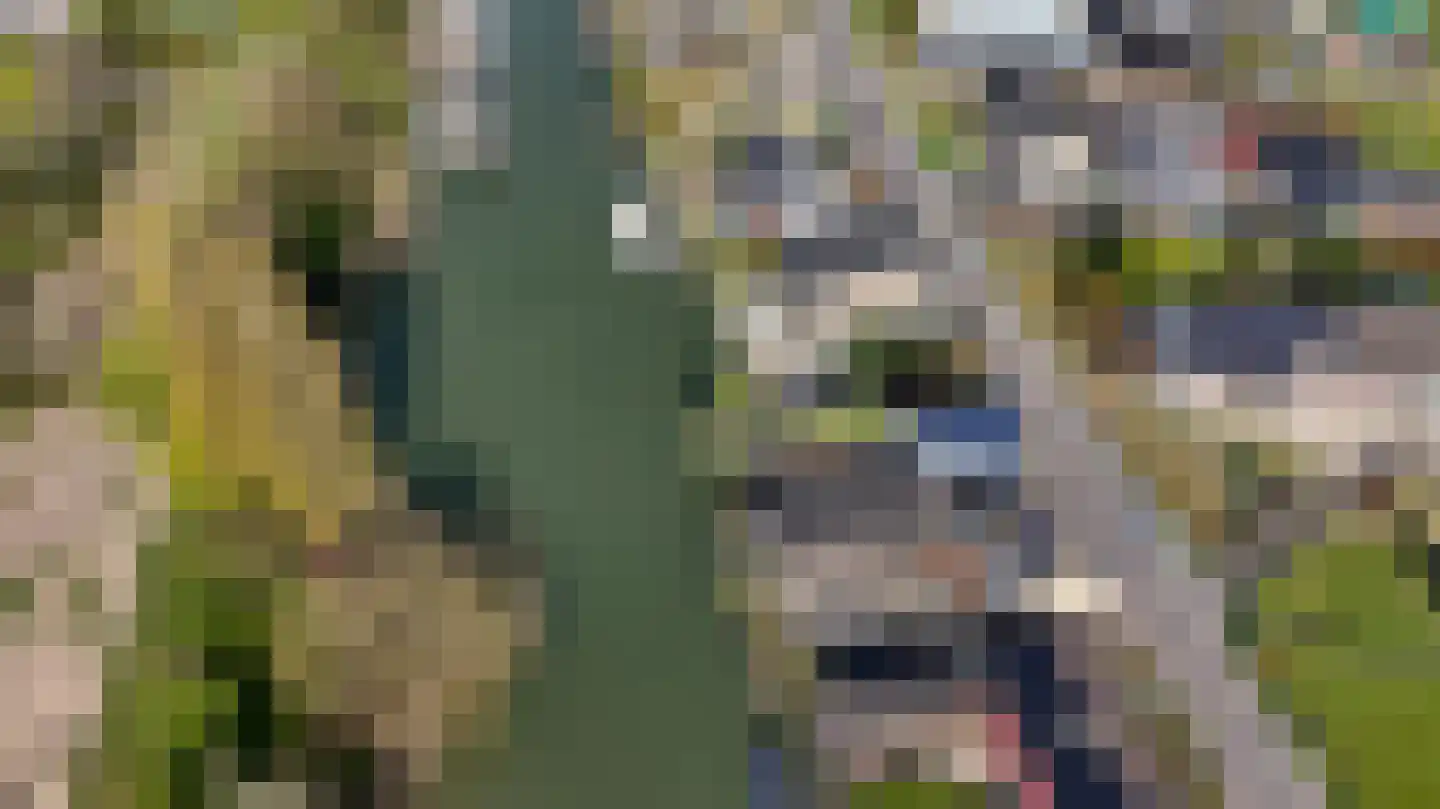 Noord 15 a Krimpen aan de Lek thumbnail 45