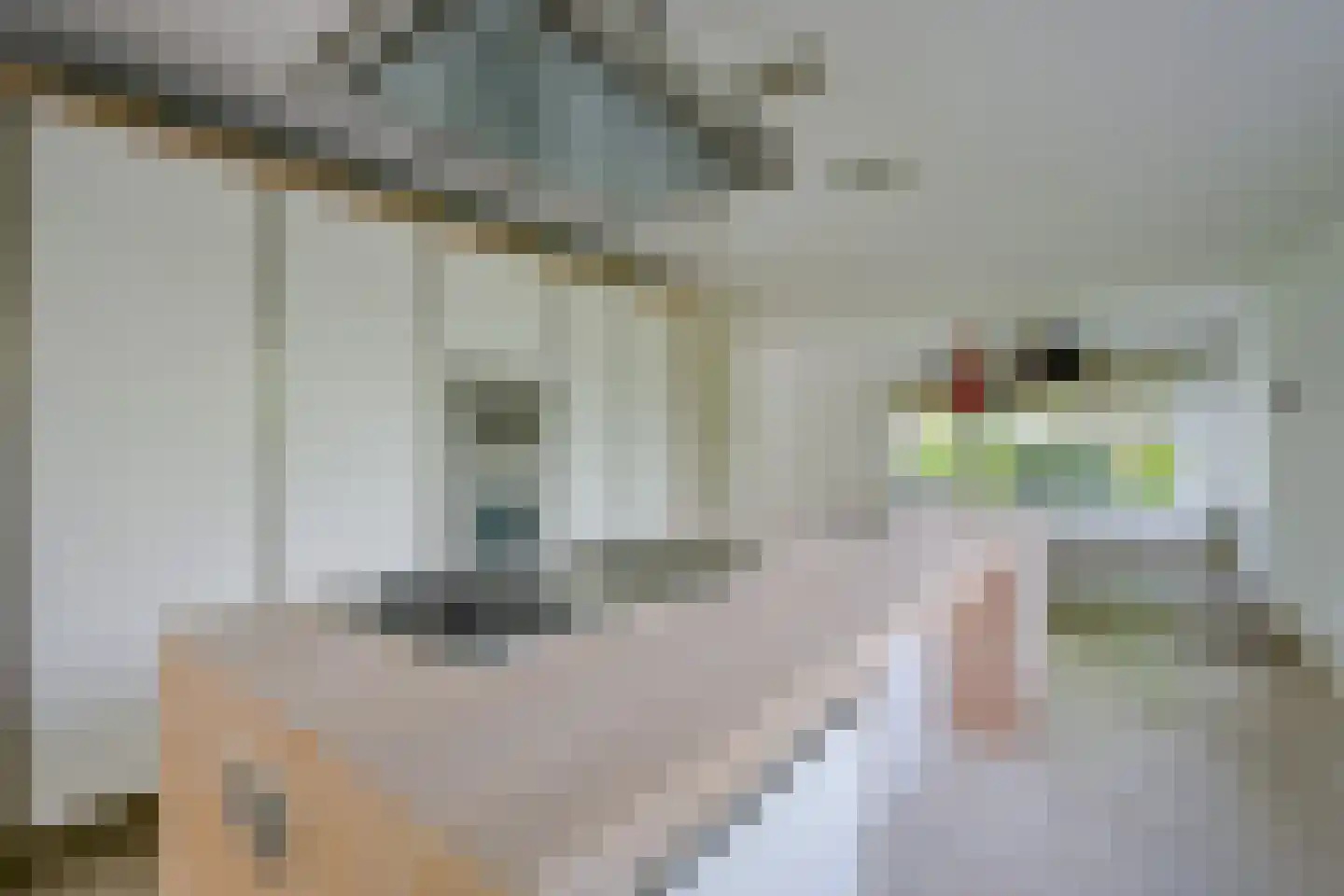 Noord 152 A Schagen thumbnail 13