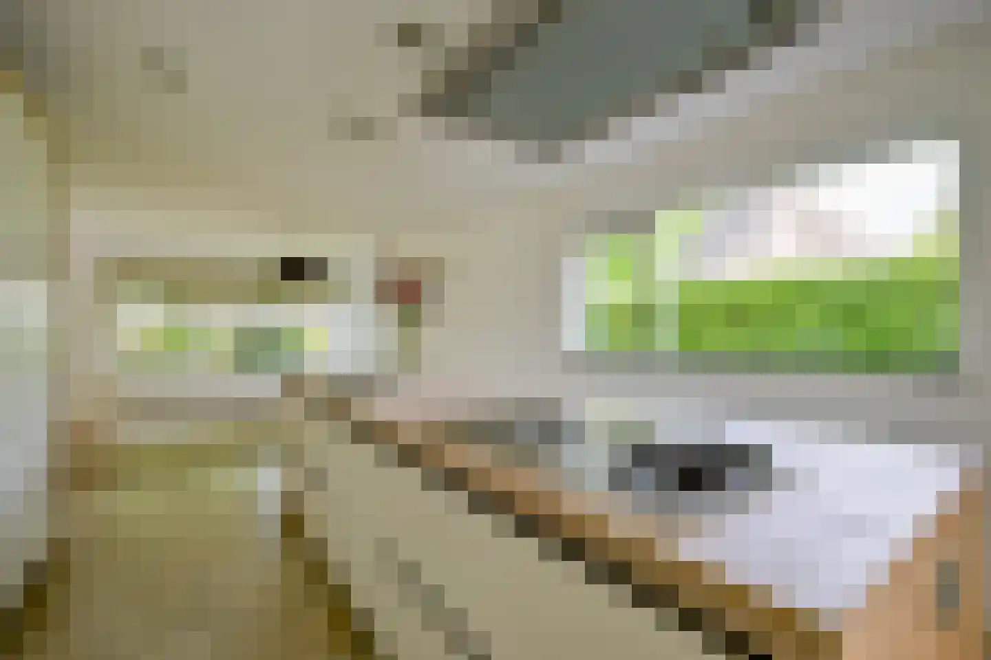 Noord 152 A Schagen thumbnail 14