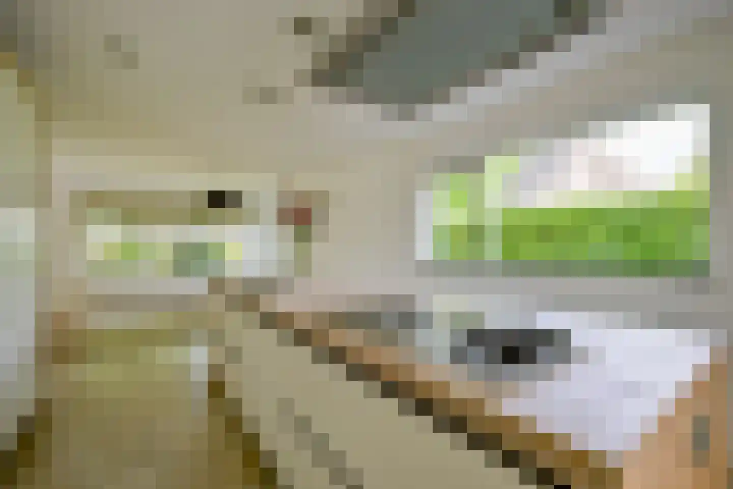 Noord 152 A Schagen thumbnail 14