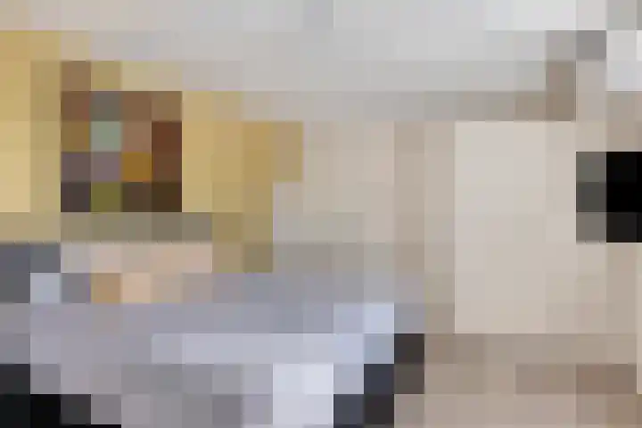 Noord 16 Krimpen aan de Lek thumbnail 19