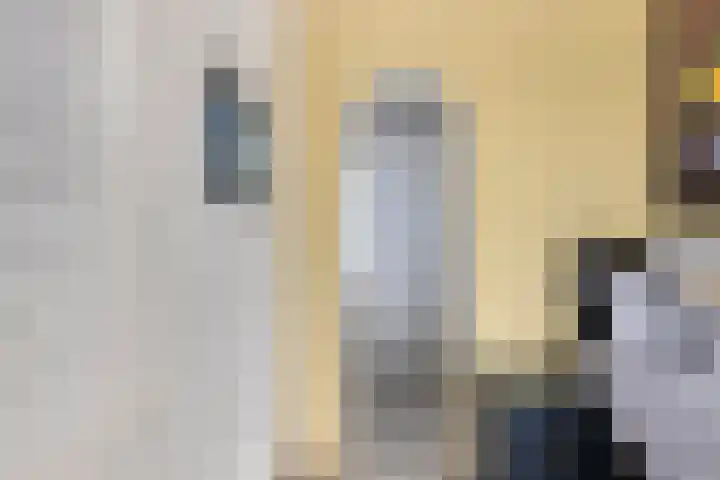 Noord 16 Krimpen aan de Lek thumbnail 20