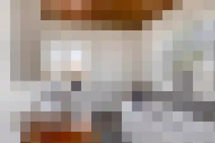 Noord 16 Krimpen aan de Lek thumbnail 22