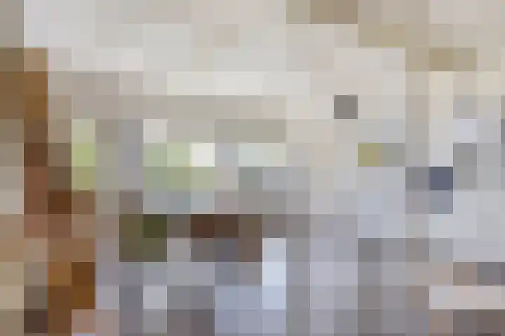 Noord 16 Krimpen aan de Lek thumbnail 29