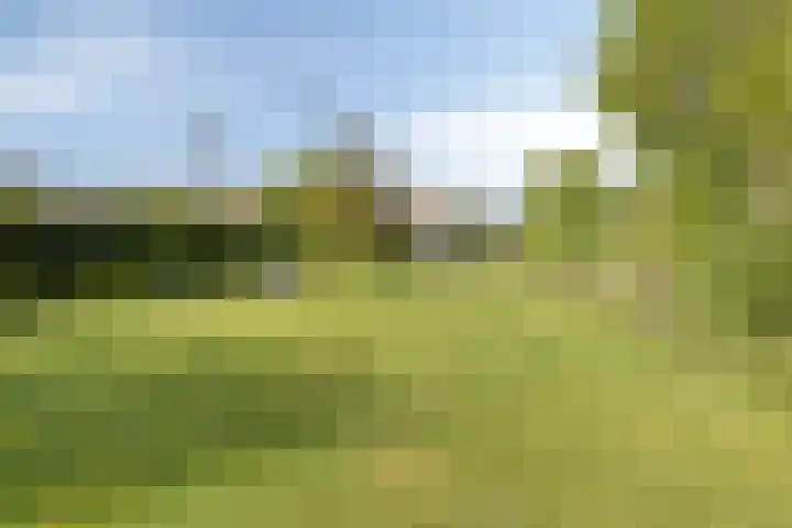 Noord 16 Krimpen aan de Lek thumbnail 41