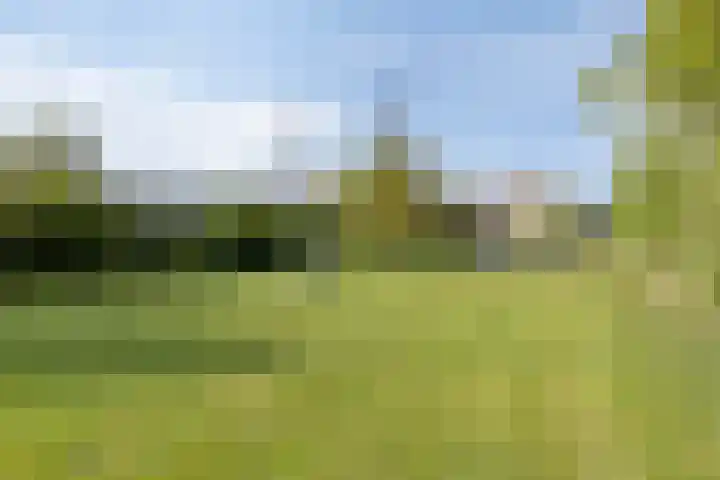 Noord 16 Krimpen aan de Lek thumbnail 42