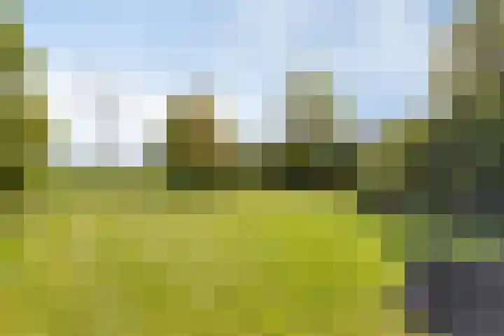 Noord 16 Krimpen aan de Lek thumbnail 43