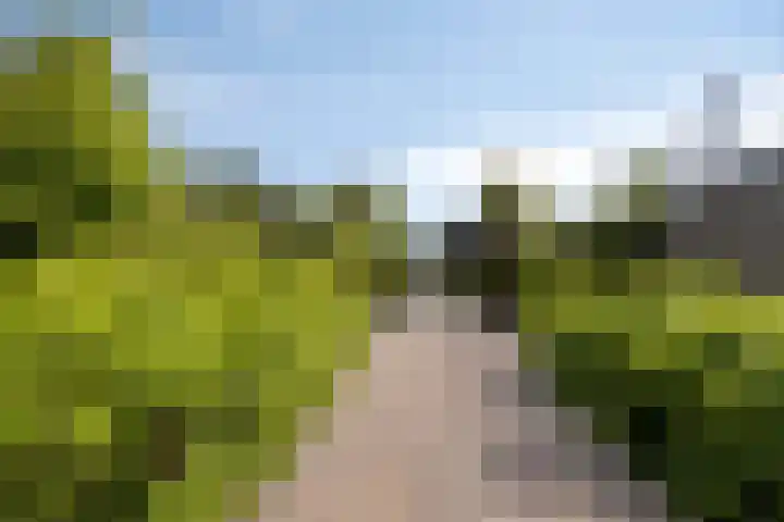 Noord 16 Krimpen aan de Lek thumbnail 44