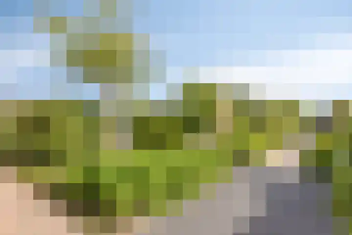 Noord 16 Krimpen aan de Lek thumbnail 45