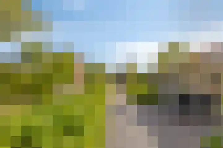 Noord 16 Krimpen aan de Lek thumbnail 46