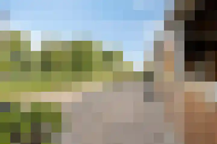 Noord 16 Krimpen aan de Lek thumbnail 50
