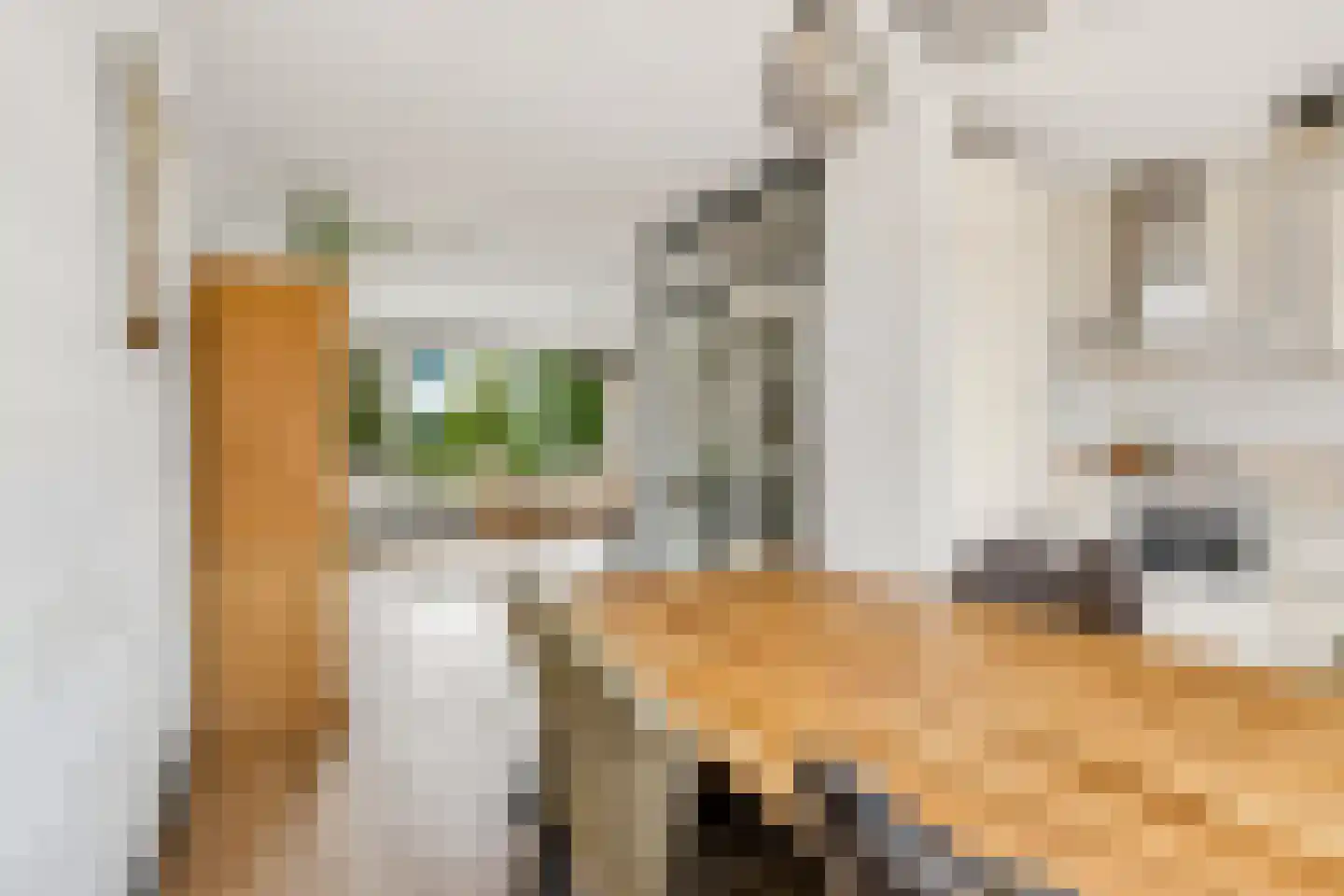 Noord 19 Zwolle thumbnail 16