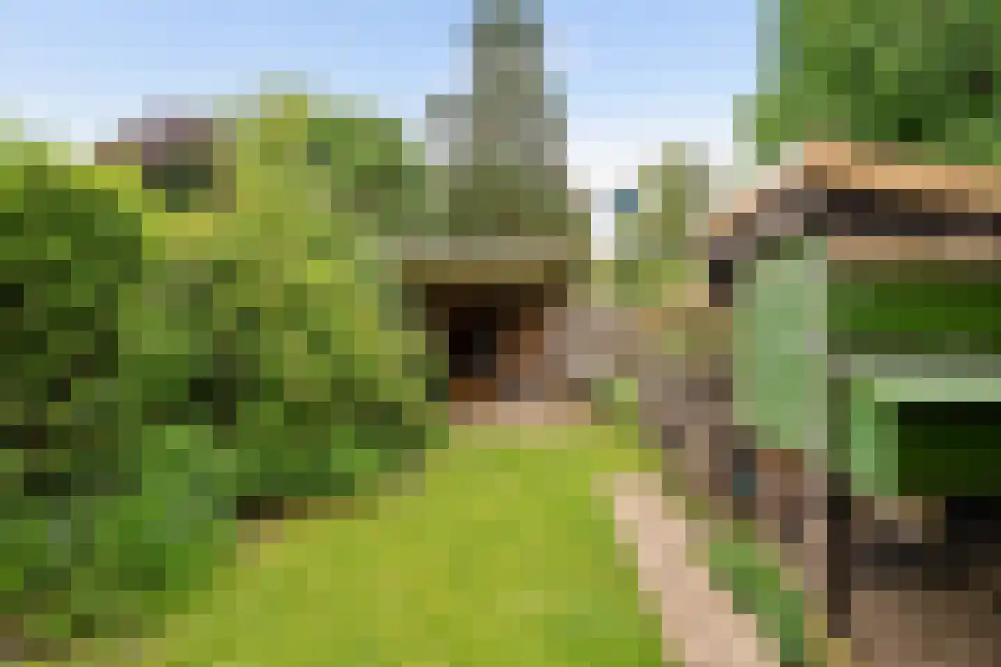 Noord 19 Zwolle thumbnail 37