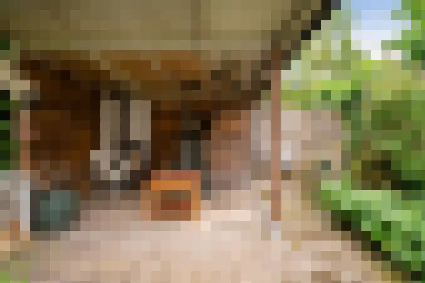 Noord 19 Zwolle thumbnail 38