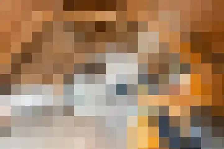 Noord 21 Krimpen aan de Lek thumbnail 14