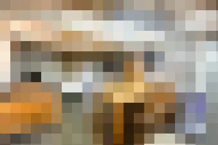 Noord 21 Krimpen aan de Lek thumbnail 21