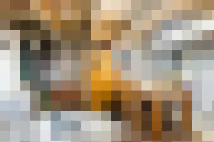 Noord 21 Krimpen aan de Lek thumbnail 22