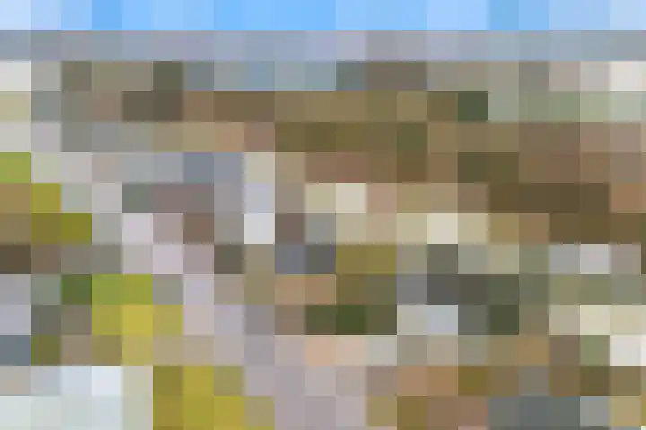 Noord 21 Krimpen aan de Lek thumbnail 28