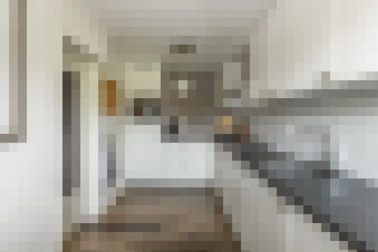 Noord 27 Krimpen aan de Lek thumbnail 23