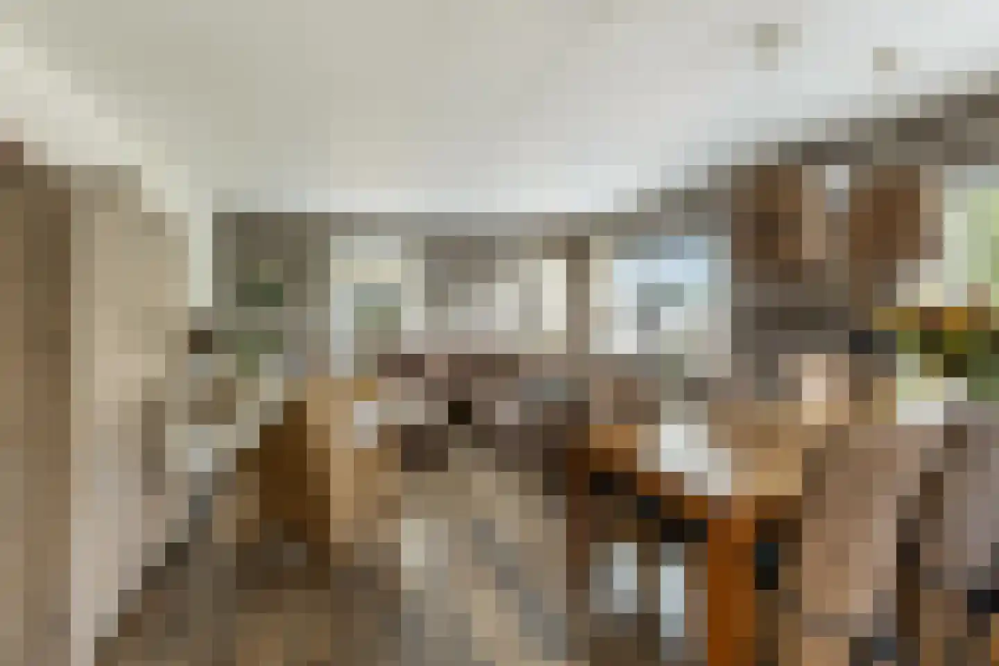 Noord 27 Krimpen aan de Lek thumbnail 25