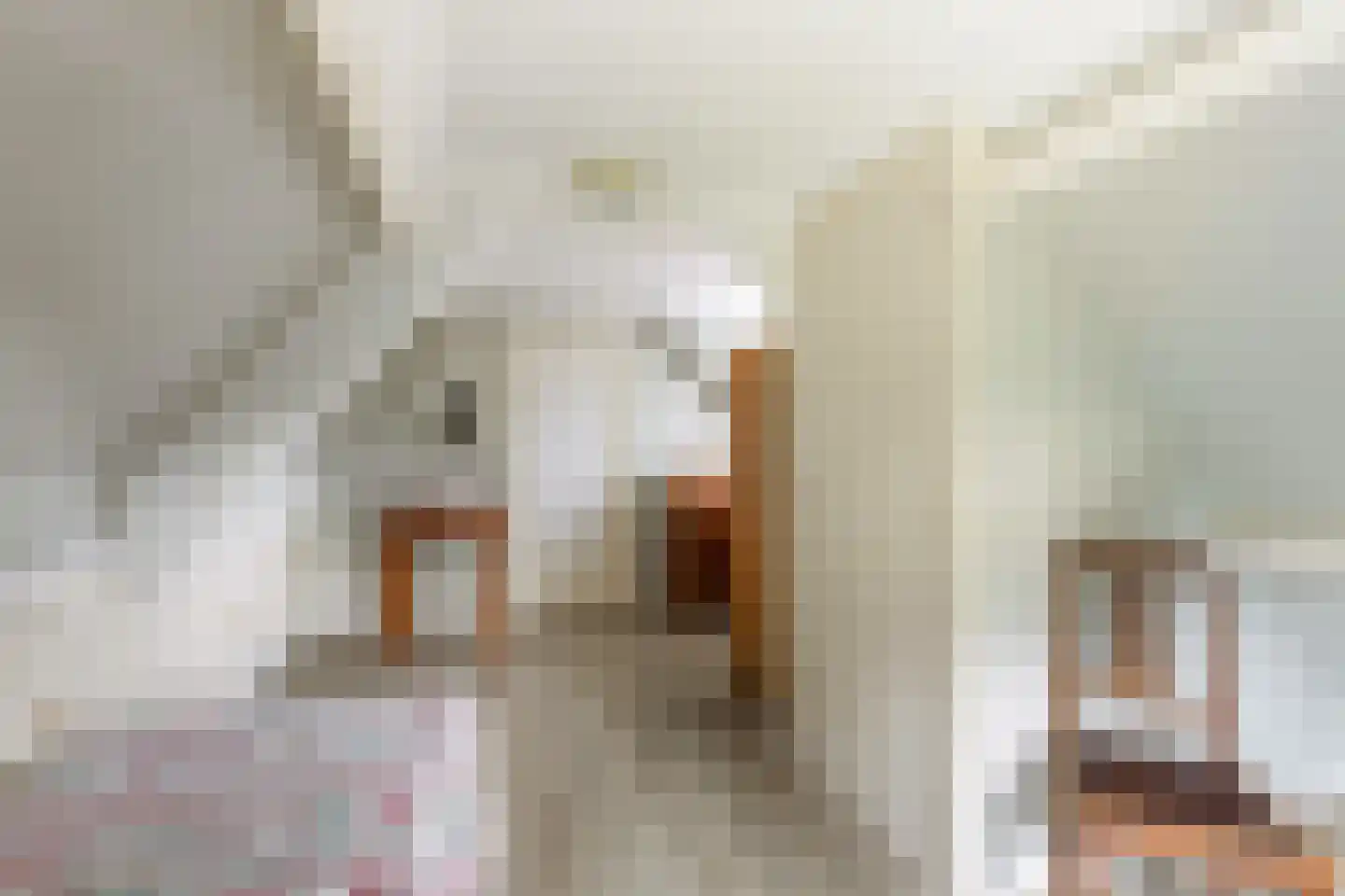 Noord 27 Krimpen aan de Lek thumbnail 29