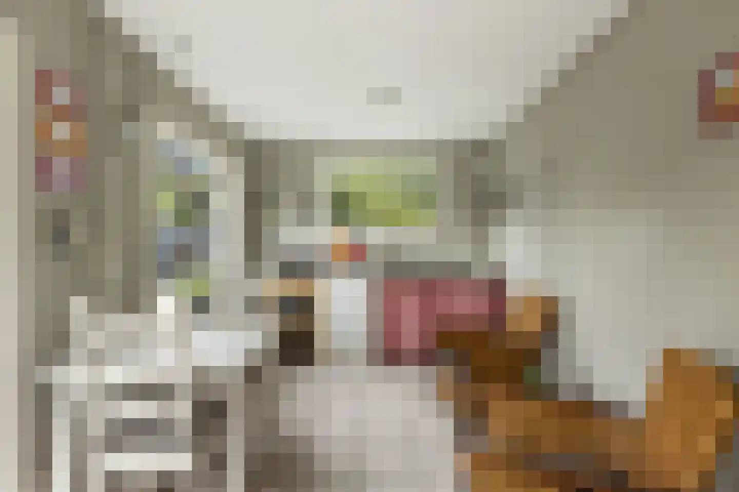 Noord 27 Krimpen aan de Lek thumbnail 35