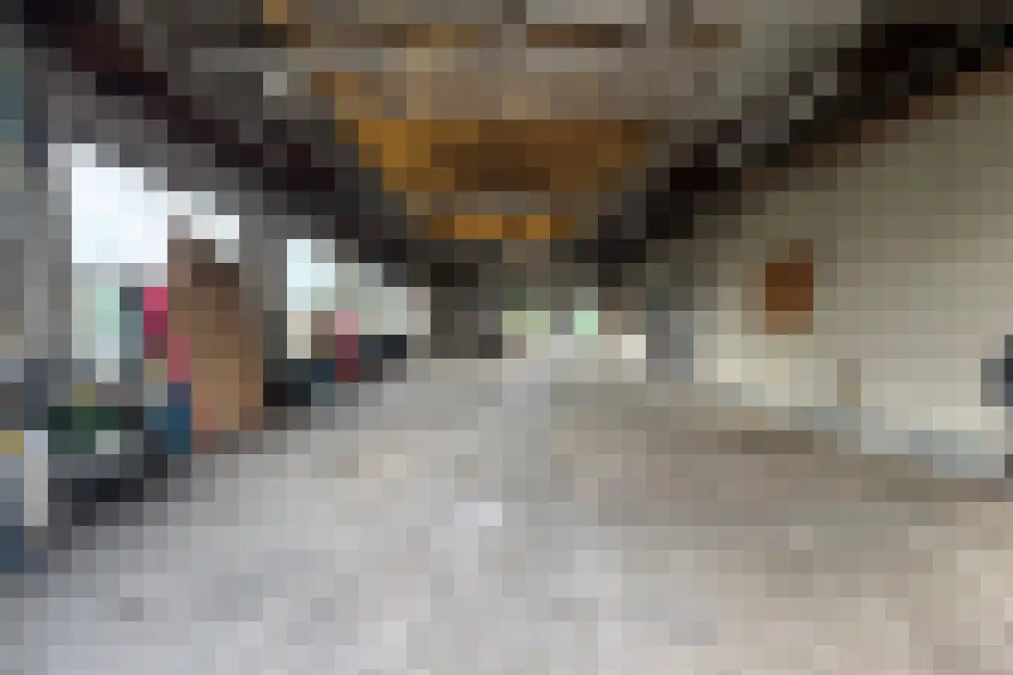 Noord 27 Krimpen aan de Lek thumbnail 4