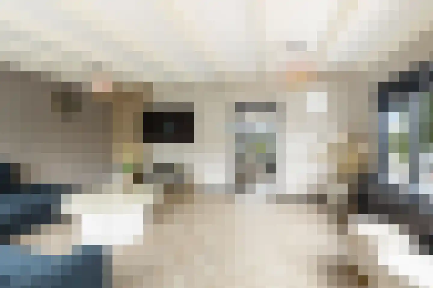 Noord 27 Krimpen aan de Lek thumbnail 9