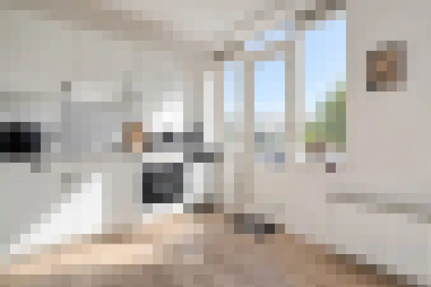 Noord 30 A Zwolle thumbnail 14