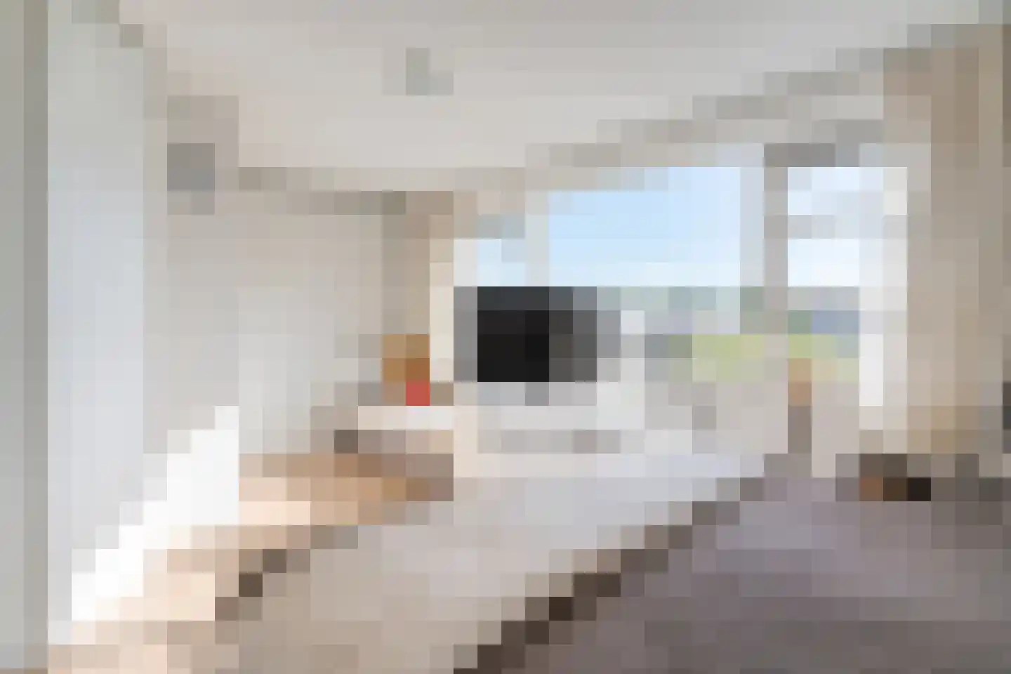 Noord 30 A Zwolle thumbnail 17
