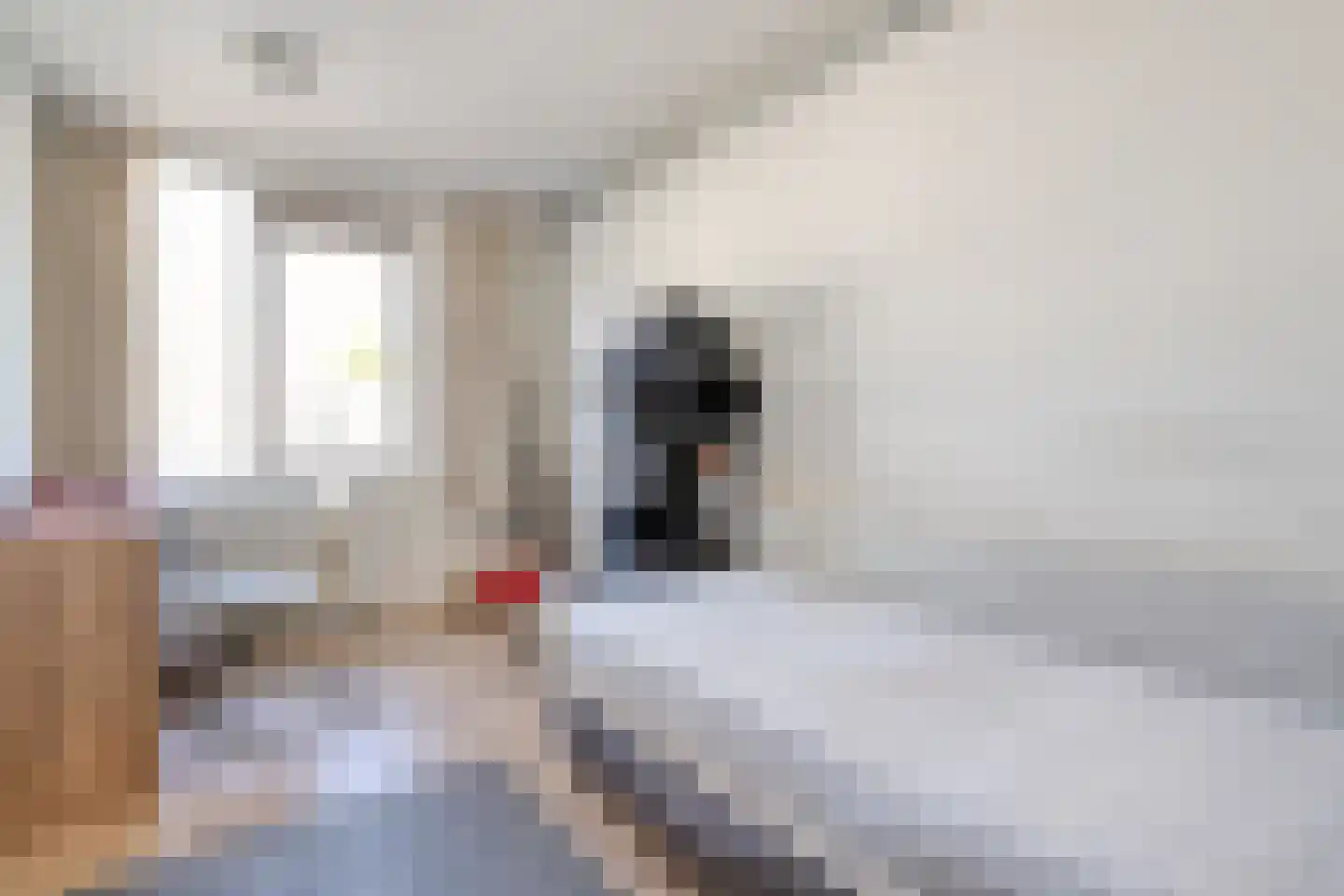 Noord 30 A Zwolle thumbnail 21