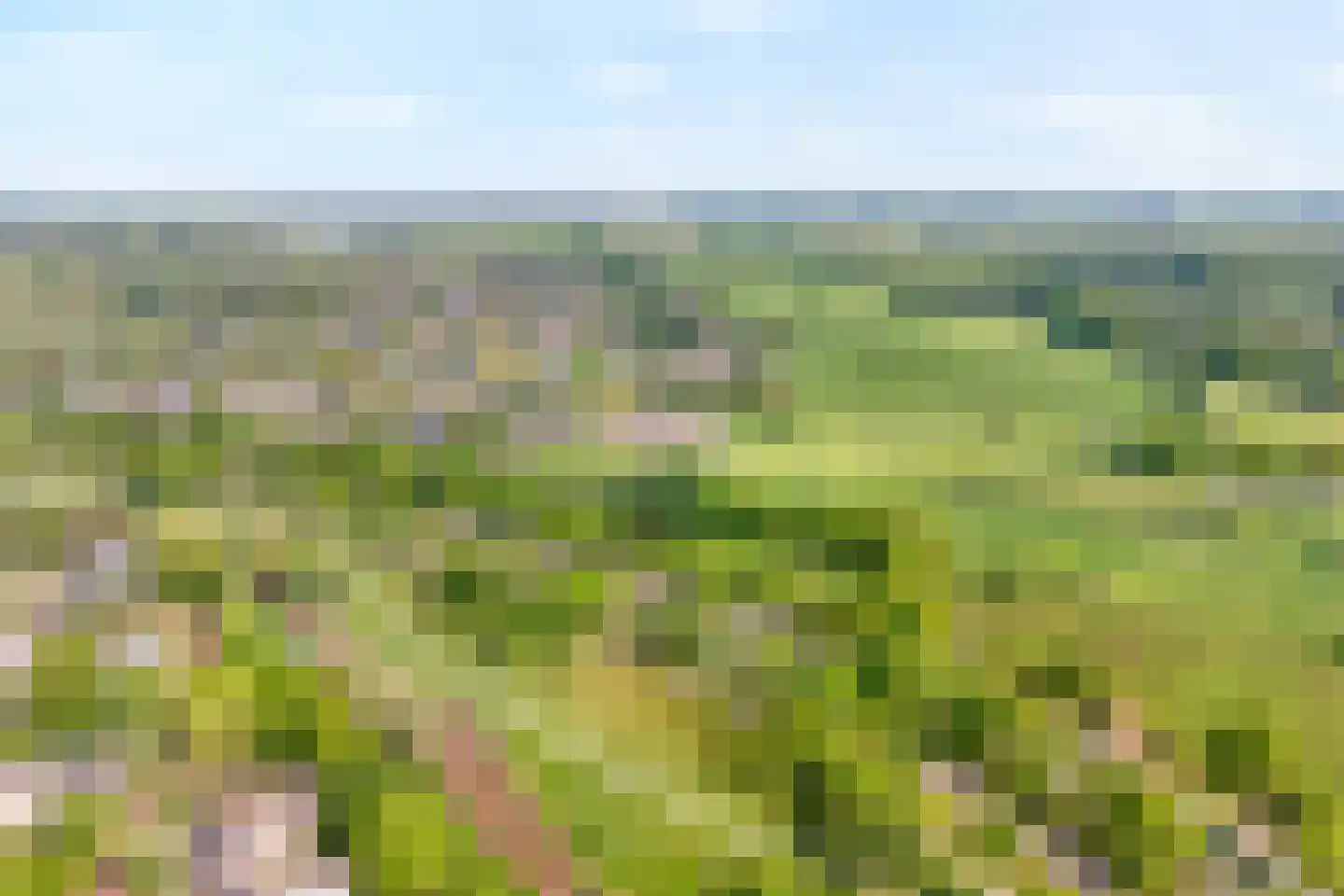 Noord 30 A Zwolle thumbnail 33