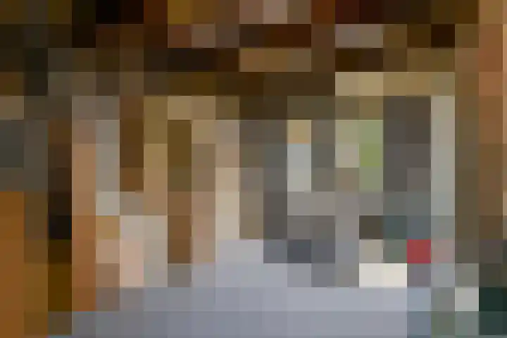Noord 32 Franeker thumbnail 10