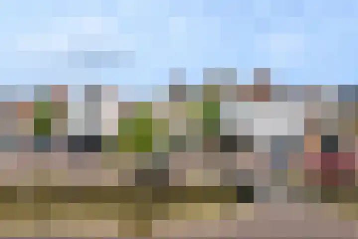 Noord 32 Franeker thumbnail 4