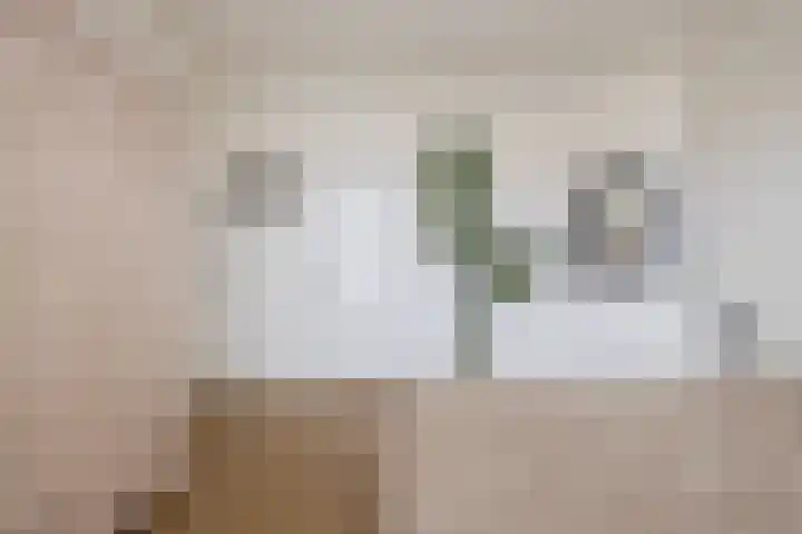Noord 35 Franeker thumbnail 36