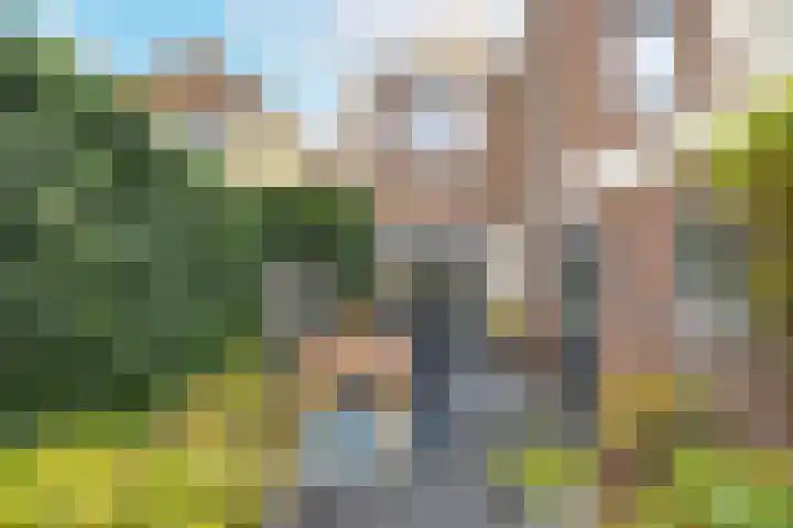 Noord 35 Franeker thumbnail 56