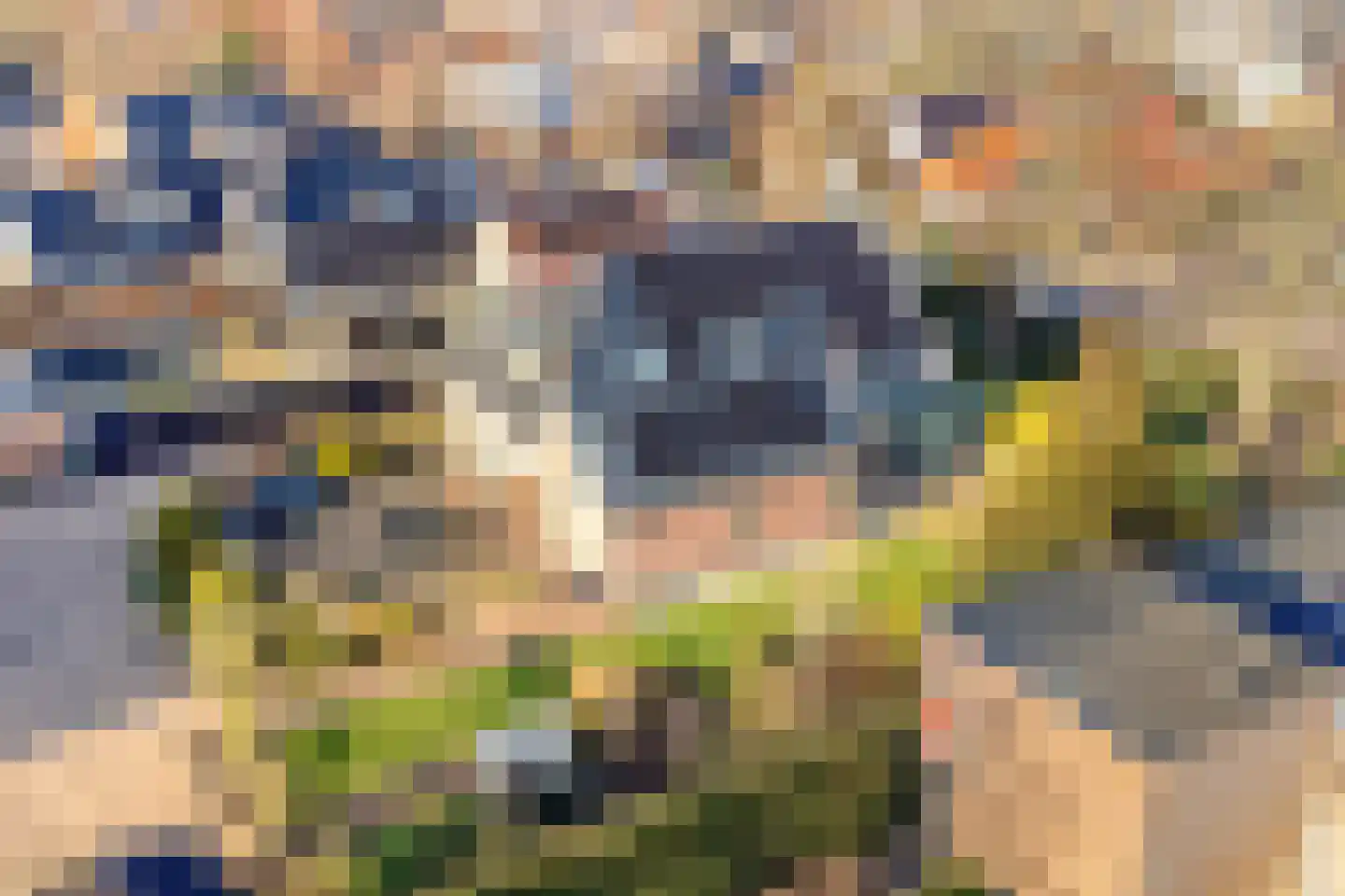 Noord 39 Schagen thumbnail 11