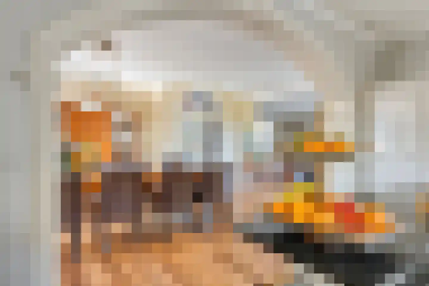 Noord 39 Schagen thumbnail 26