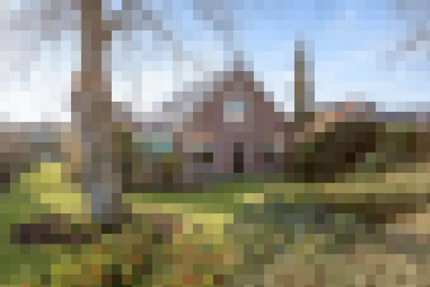 Noord 39 Schagen foto 3