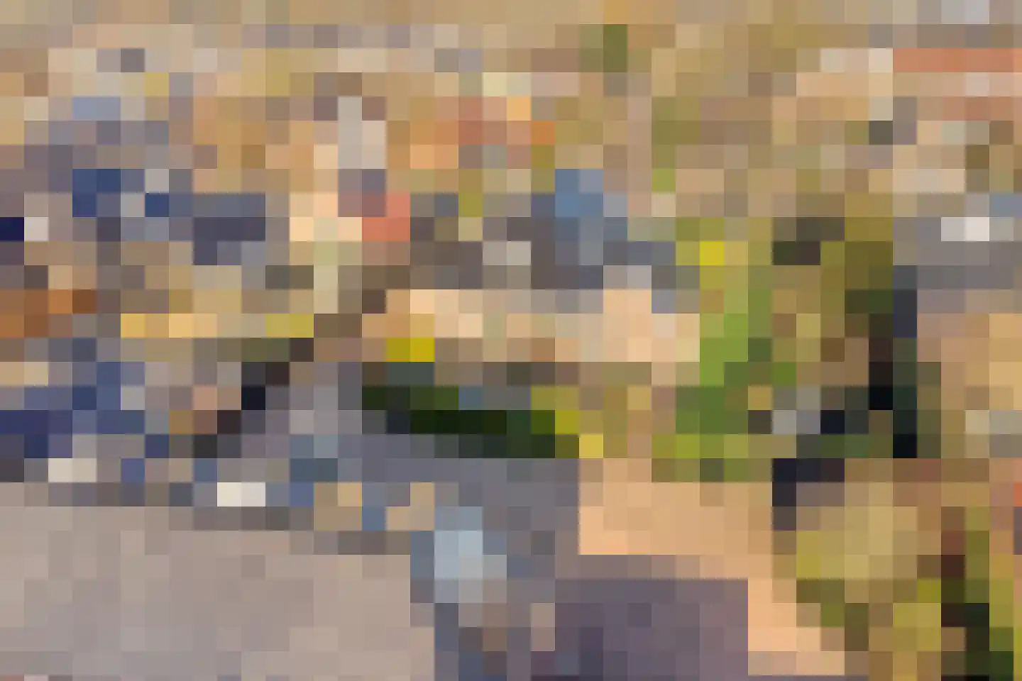 Noord 39 Schagen thumbnail 5